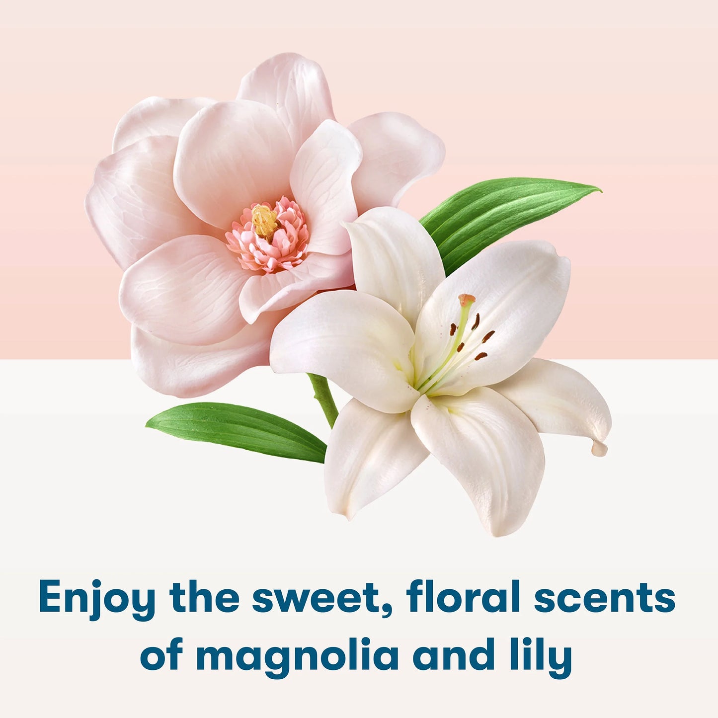 Hypoallergenic Laundry Detergent Sheets for Sensitive Skin, Magnolia & Lily, 64 Ct