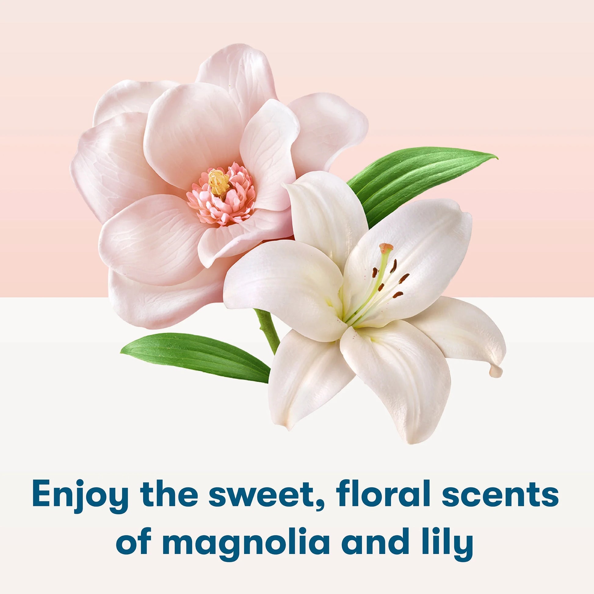Hypoallergenic Laundry Detergent Sheets for Sensitive Skin, Magnolia & Lily, 64 Ct